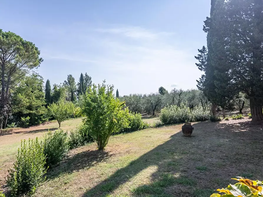 Immagine 58 di Villa in vendita  a Terricciola