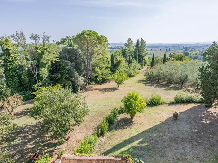 Immagine 53 di Villa in vendita  a Terricciola