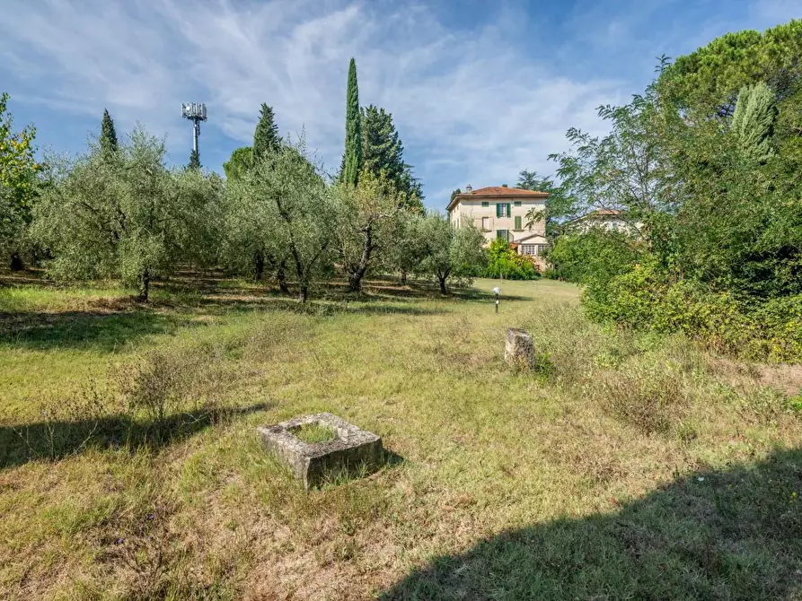 Immagine 74 di Villa in vendita  a Terricciola