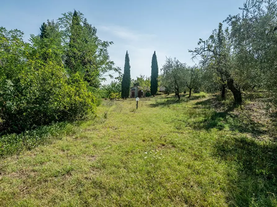 Immagine 76 di Villa in vendita  a Terricciola