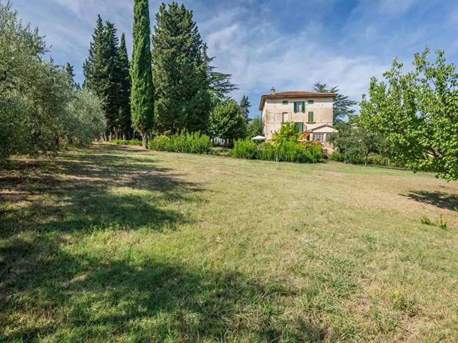 Immagine 79 di Villa in vendita  a Terricciola