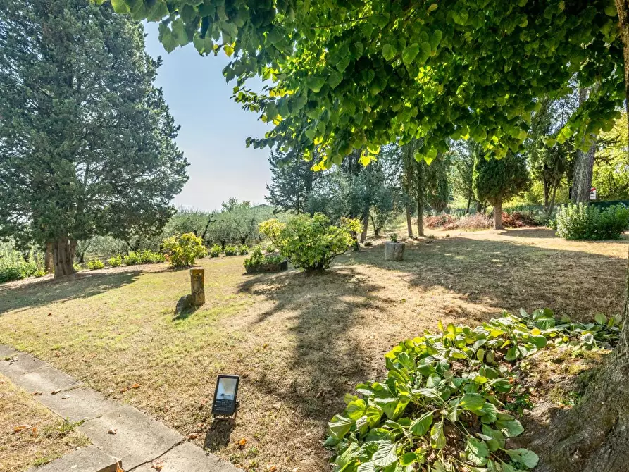 Immagine 61 di Villa in vendita  a Terricciola