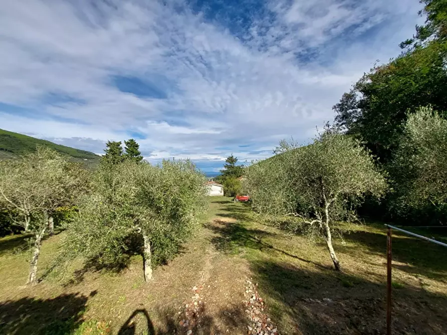 Immagine 12 di Rustico / casale in vendita  a Buti