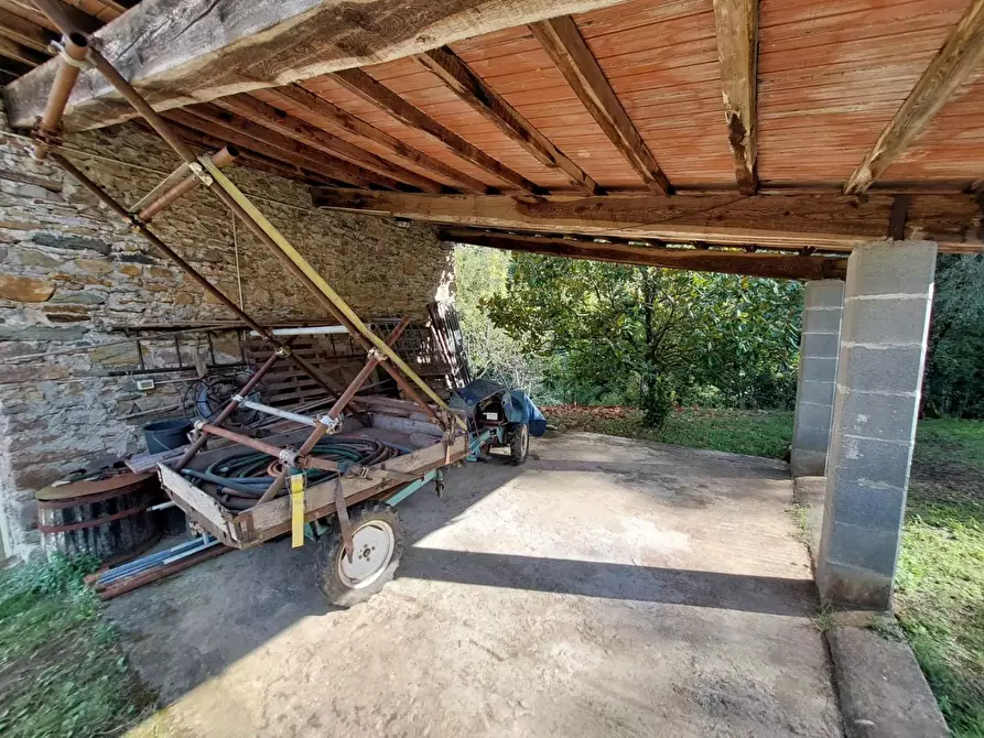 Immagine 30 di Rustico / casale in vendita  a Buti