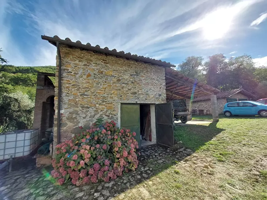 Immagine 3 di Rustico / casale in vendita  a Buti