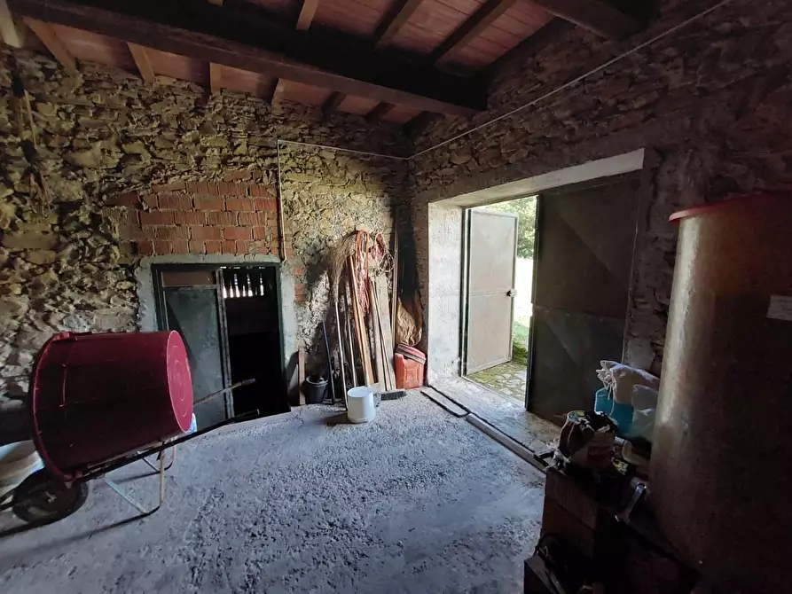 Immagine 37 di Rustico / casale in vendita  a Buti