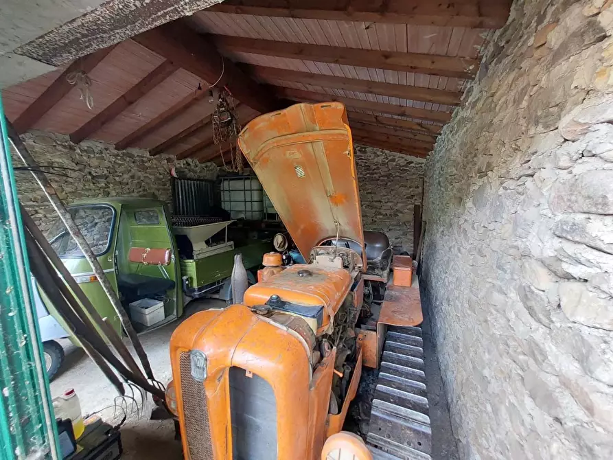 Immagine 39 di Rustico / casale in vendita  a Buti