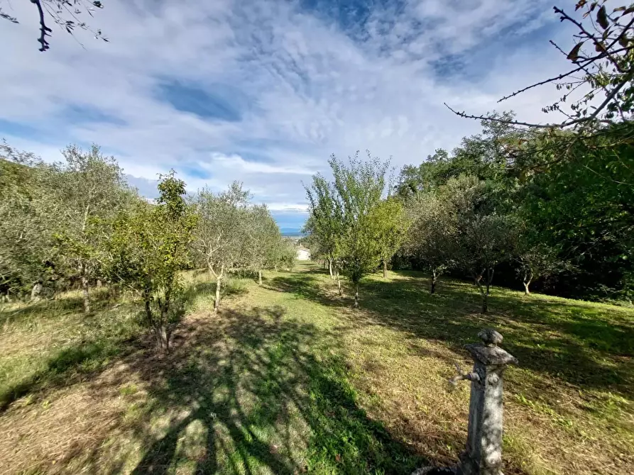 Immagine 15 di Rustico / casale in vendita  a Buti