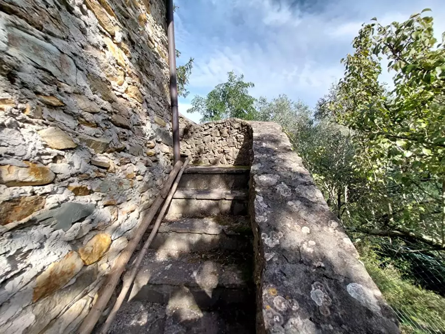 Immagine 7 di Rustico / casale in vendita  a Buti