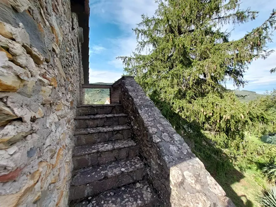 Immagine 10 di Rustico / casale in vendita  a Buti