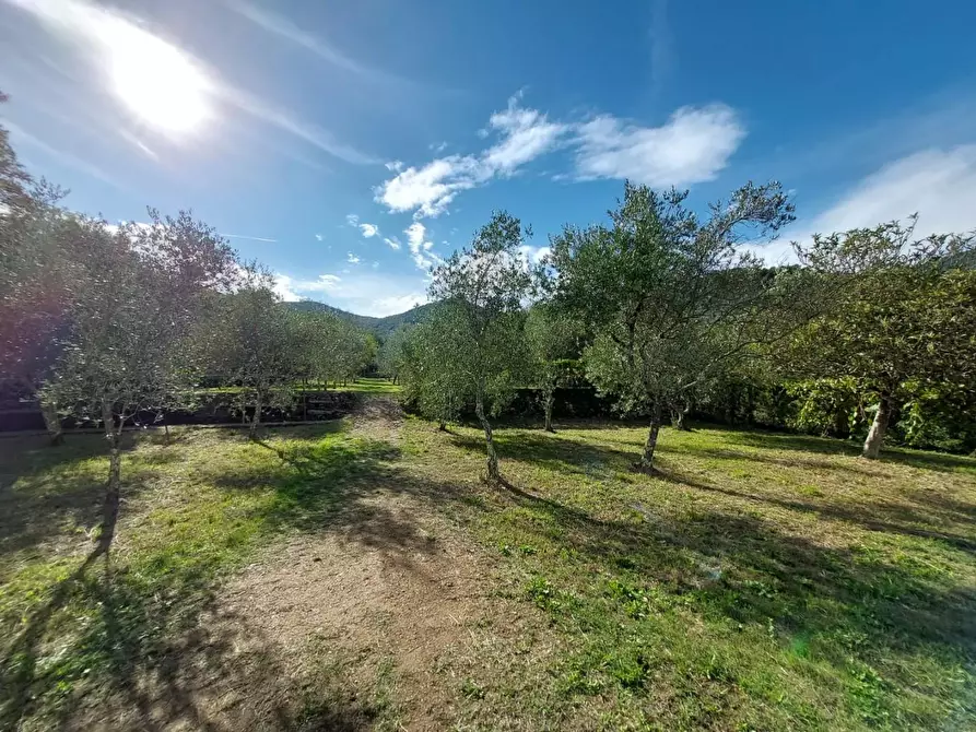 Immagine 13 di Rustico / casale in vendita  a Buti