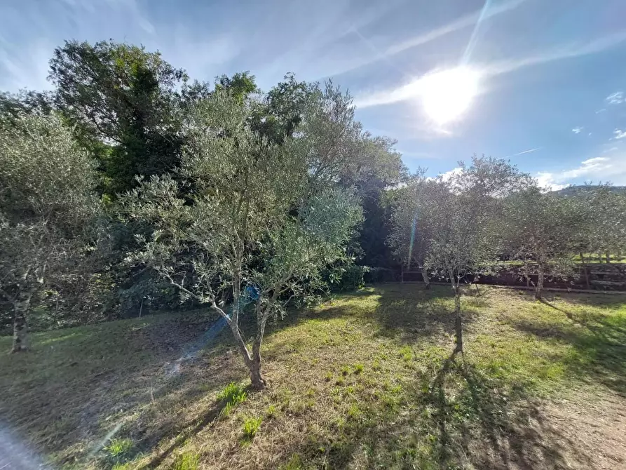 Immagine 19 di Rustico / casale in vendita  a Buti