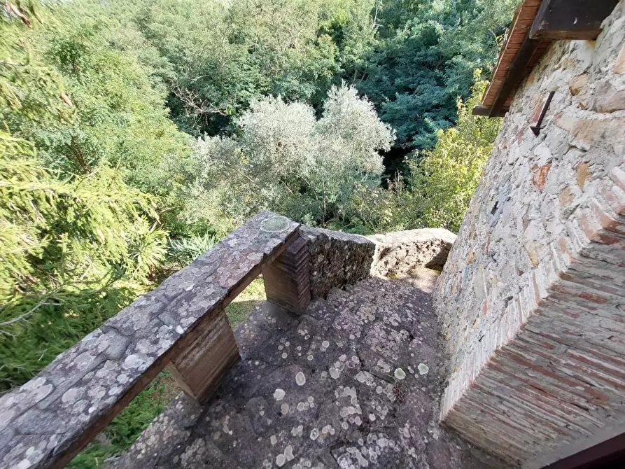 Immagine 8 di Rustico / casale in vendita  a Buti