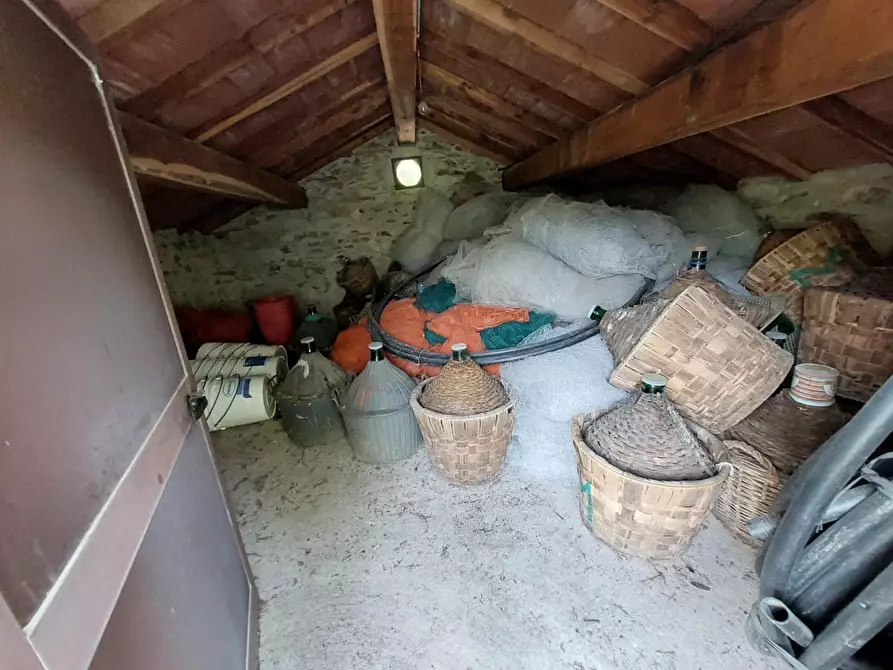 Immagine 38 di Rustico / casale in vendita  a Buti