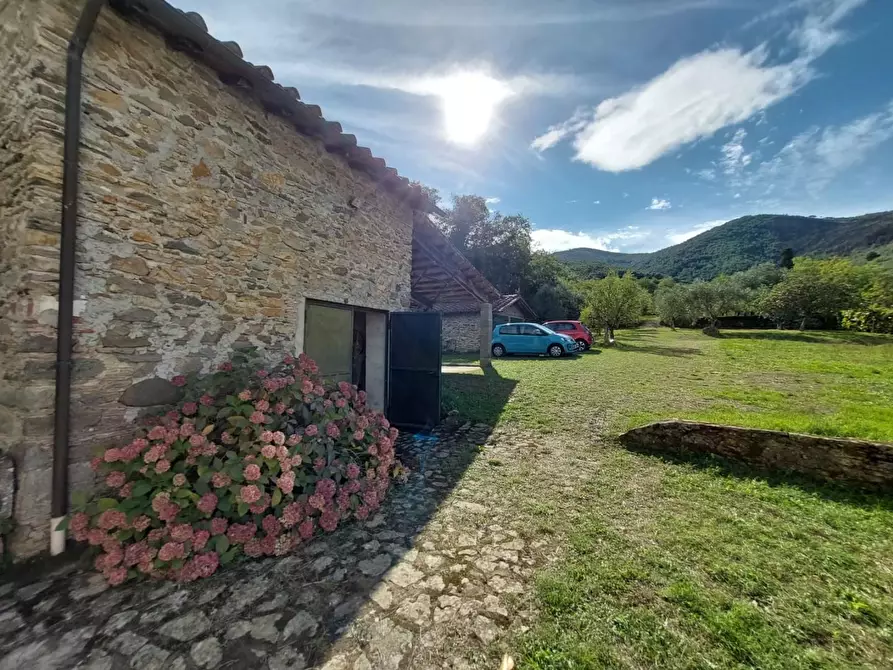 Immagine 5 di Rustico / casale in vendita  a Buti