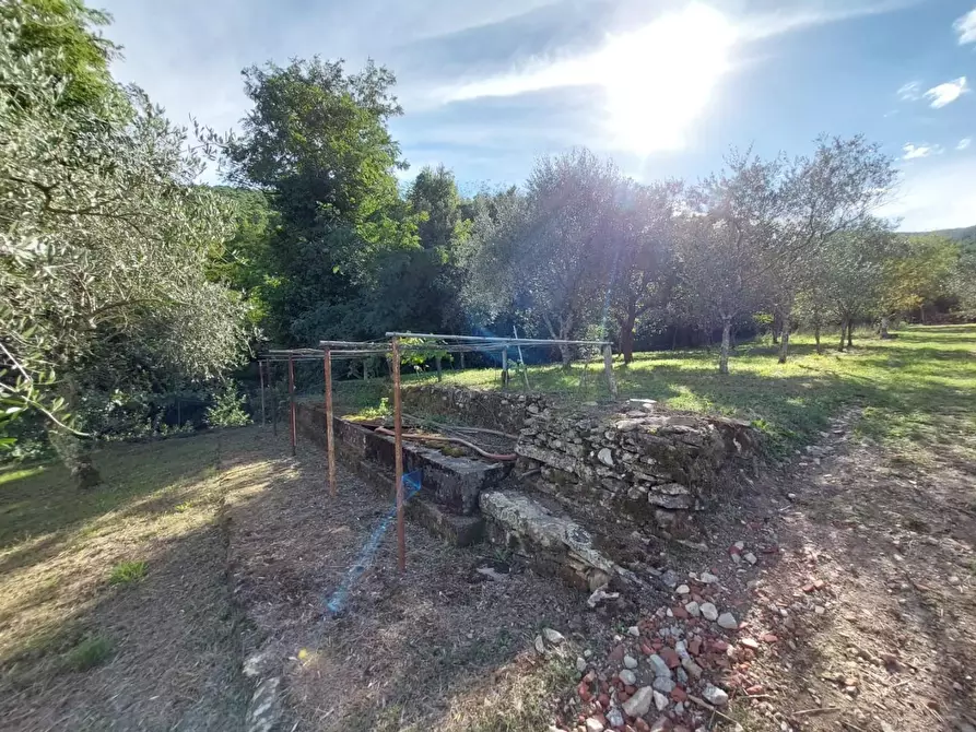 Immagine 18 di Rustico / casale in vendita  a Buti