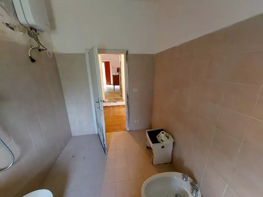 Immagine 33 di Rustico / casale in vendita  a Buti