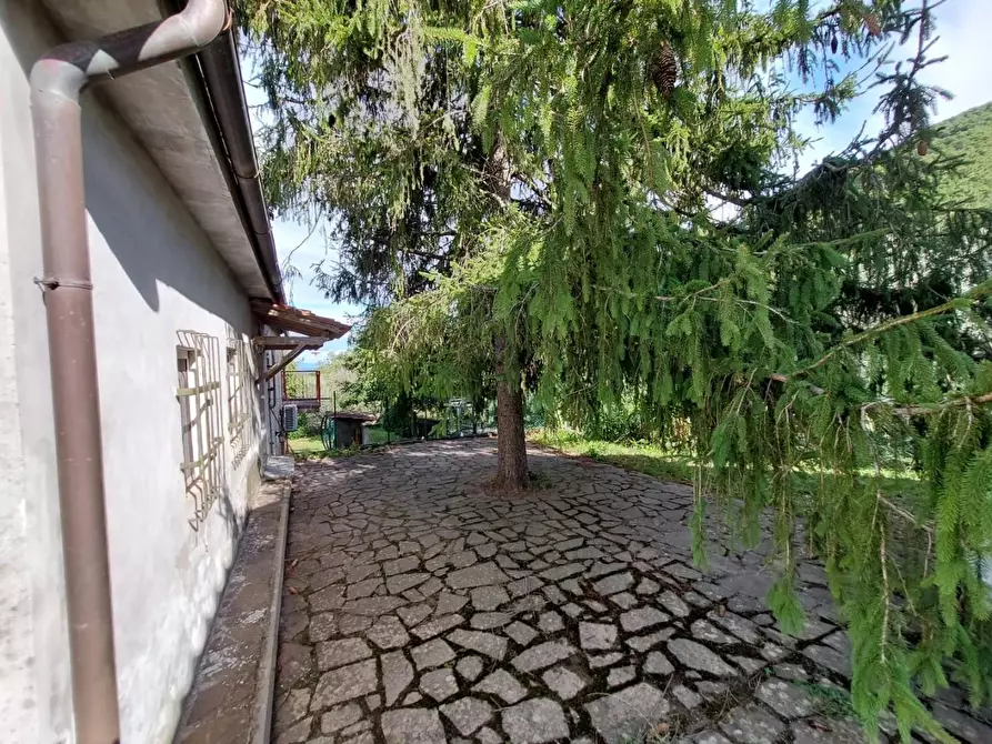 Immagine 43 di Rustico / casale in vendita  a Buti