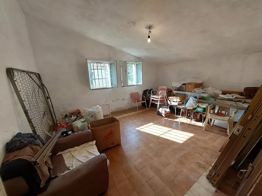 Immagine 35 di Rustico / casale in vendita  a Buti