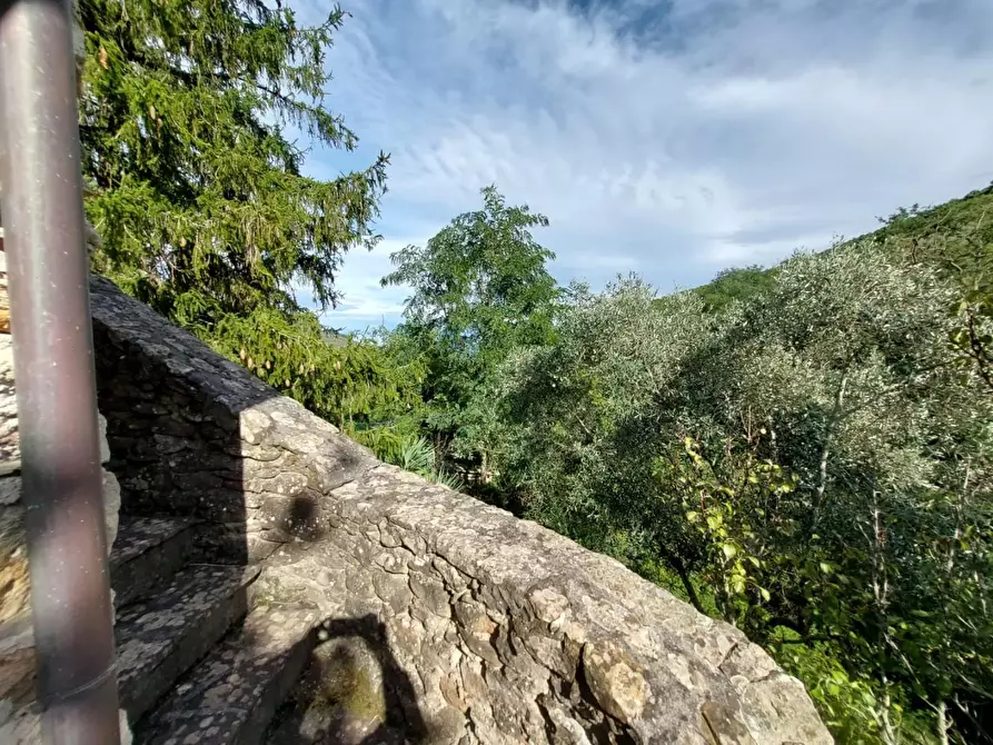 Immagine 9 di Rustico / casale in vendita  a Buti