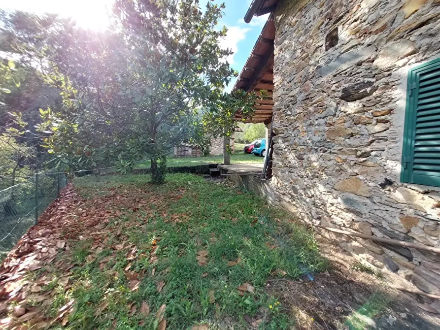 Immagine 6 di Rustico / casale in vendita  a Buti