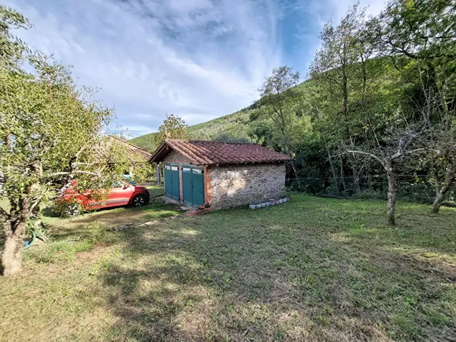 Immagine 11 di Rustico / casale in vendita  a Buti