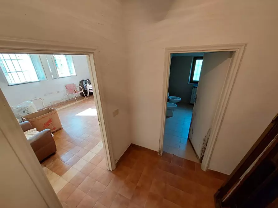 Immagine 34 di Rustico / casale in vendita  a Buti