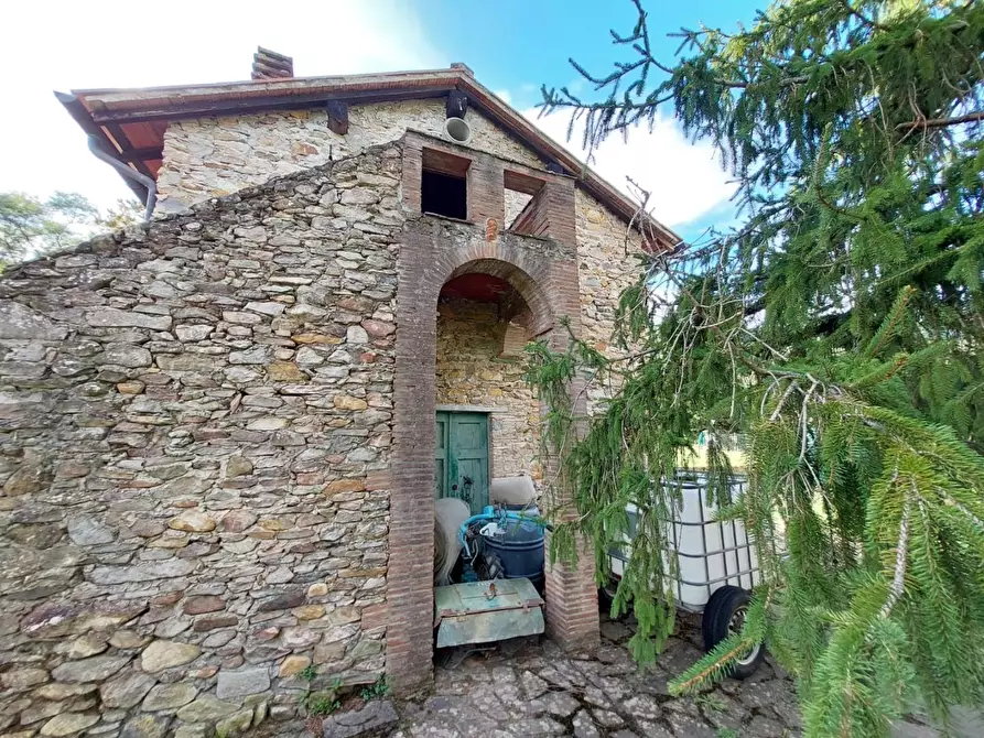 Immagine 4 di Rustico / casale in vendita  a Buti