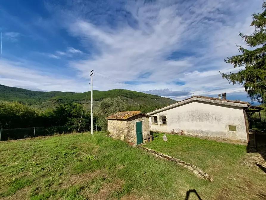 Immagine 2 di Rustico / casale in vendita  a Buti