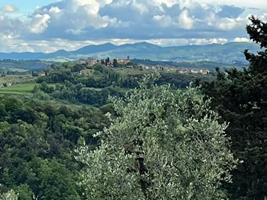 Immagine 21 di Casa indipendente in vendita  a Palaia