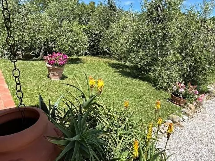 Immagine 25 di Casa indipendente in vendita  a Palaia