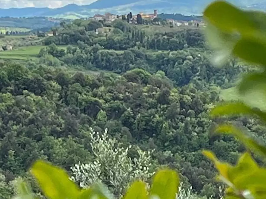 Immagine 23 di Casa indipendente in vendita  a Palaia