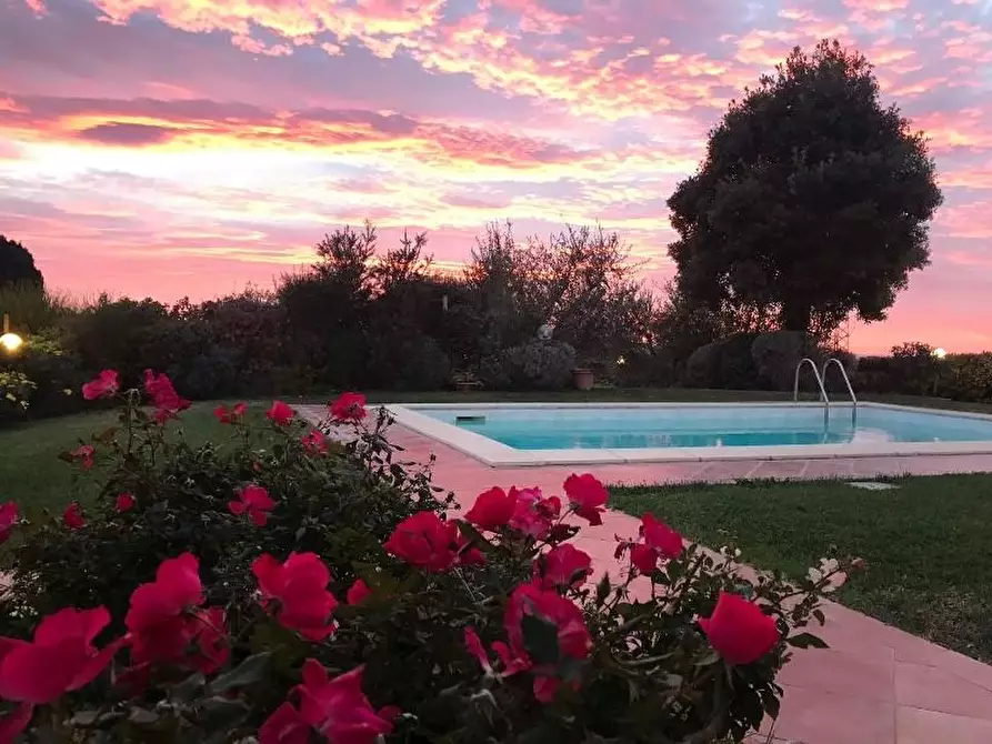 Immagine 9 di Casa indipendente in vendita  a Palaia