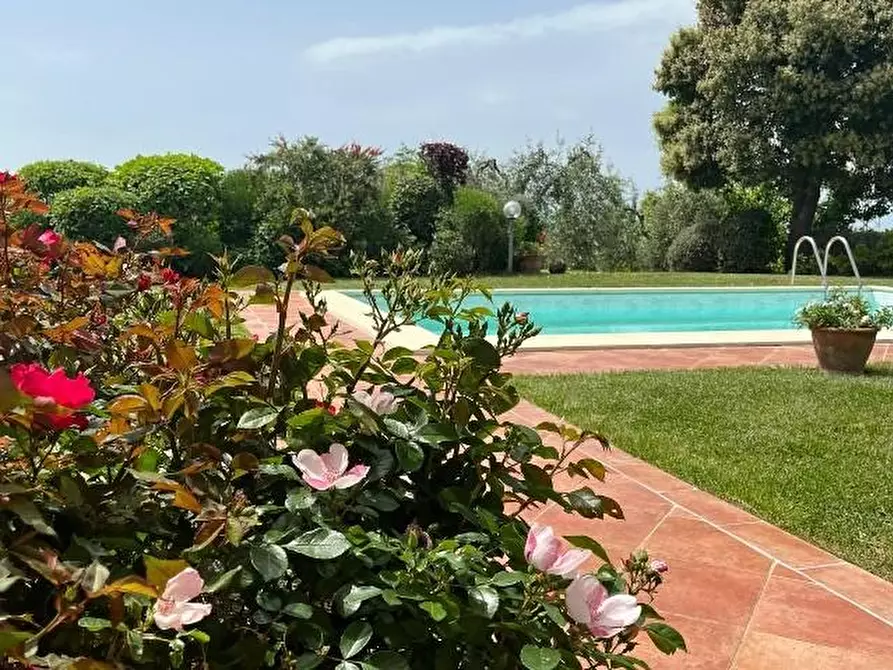 Immagine 4 di Casa indipendente in vendita  a Palaia