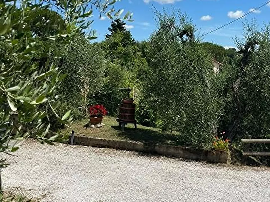 Immagine 24 di Casa indipendente in vendita  a Palaia