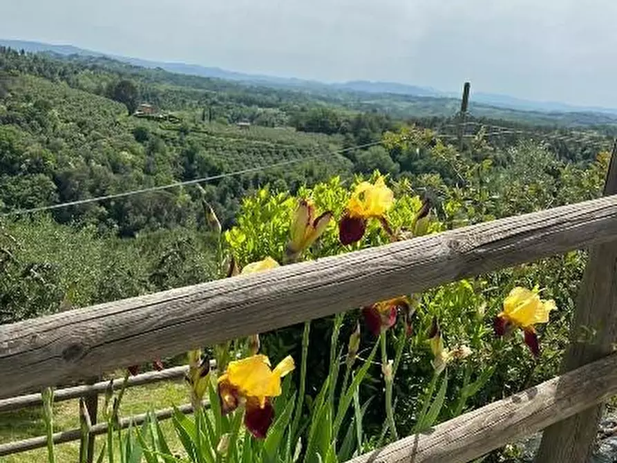 Immagine 28 di Casa indipendente in vendita  a Palaia