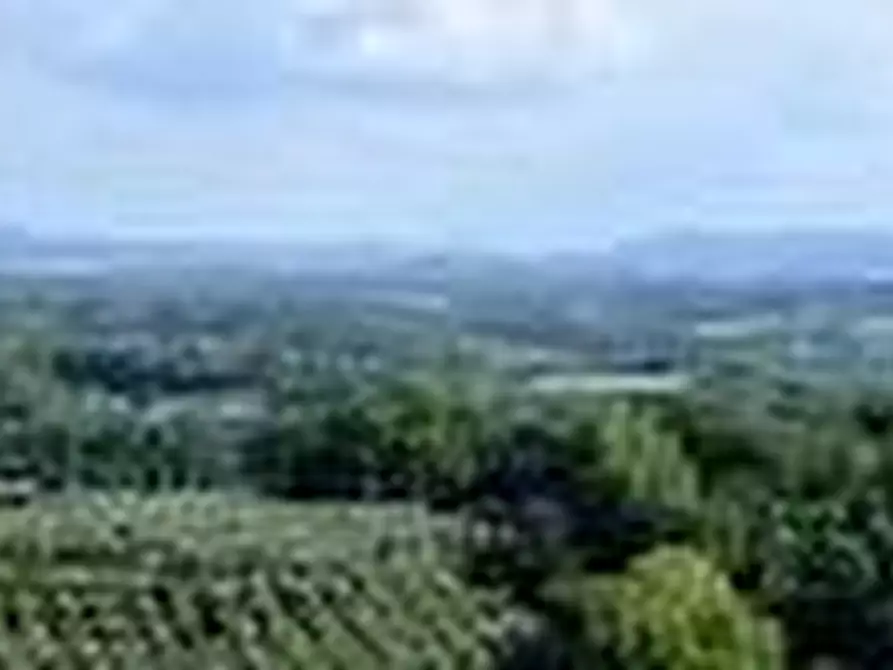 Immagine 20 di Casa indipendente in vendita  a Palaia