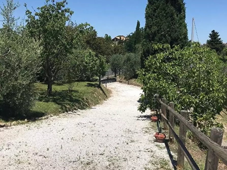 Immagine 19 di Casa indipendente in vendita  a Palaia