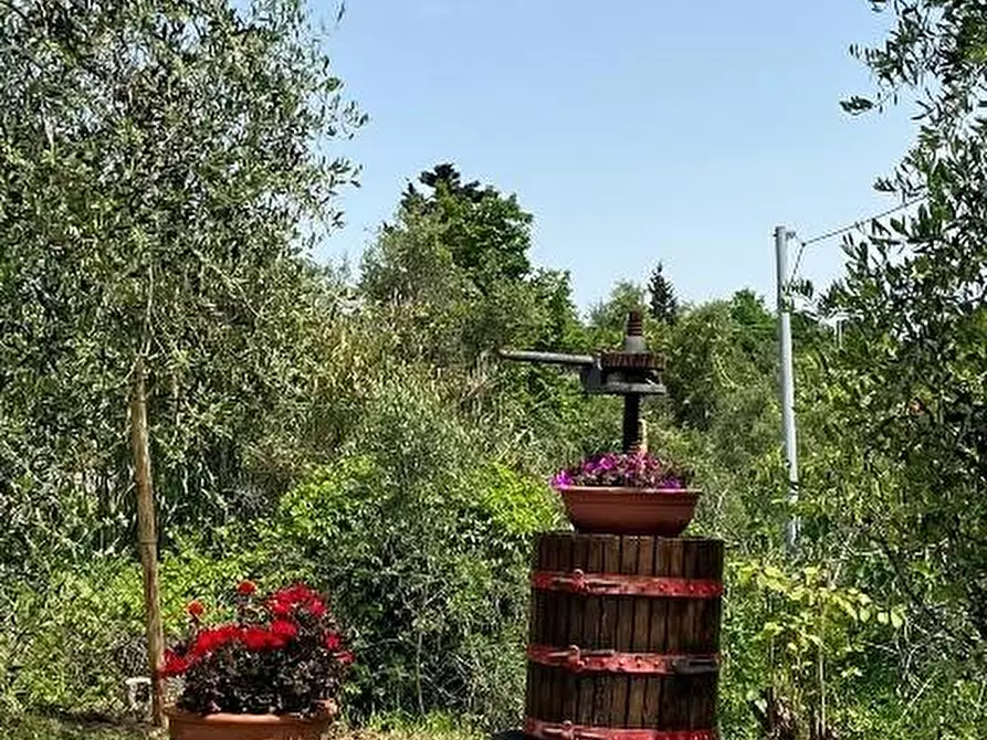 Immagine 27 di Casa indipendente in vendita  a Palaia