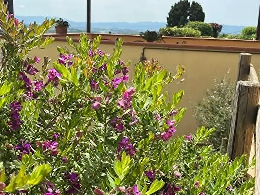 Immagine 3 di Casa indipendente in vendita  a Palaia