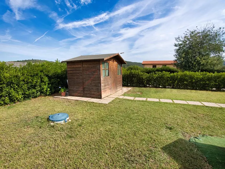 Immagine 34 di Appartamento in vendita  a Piombino