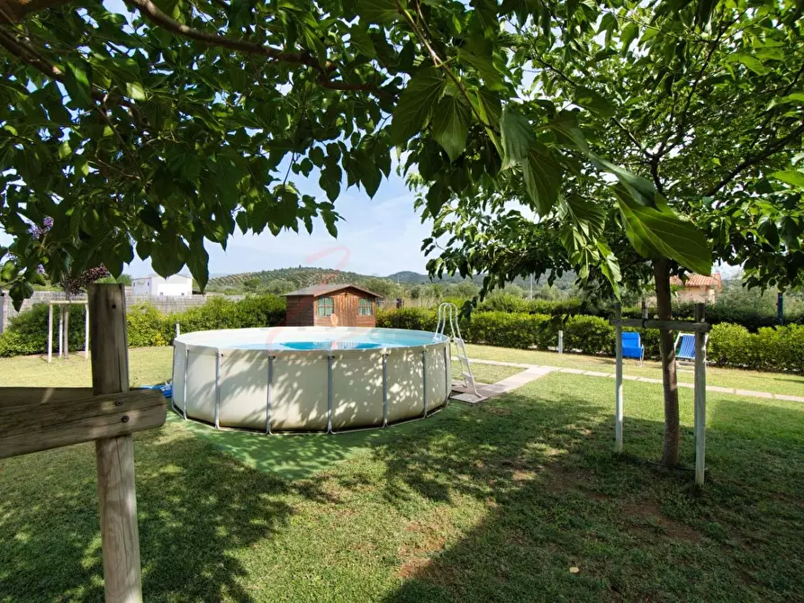 Immagine 31 di Appartamento in vendita  a Piombino