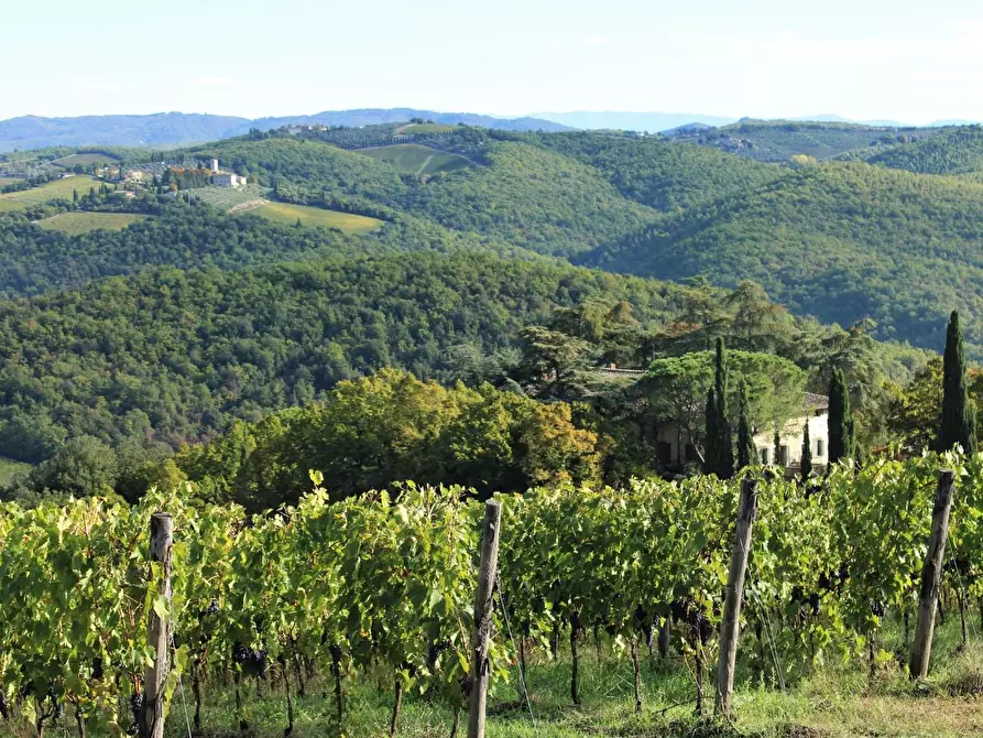 Immagine 1 di Terreno agricolo in vendita  a Castelnuovo Berardenga