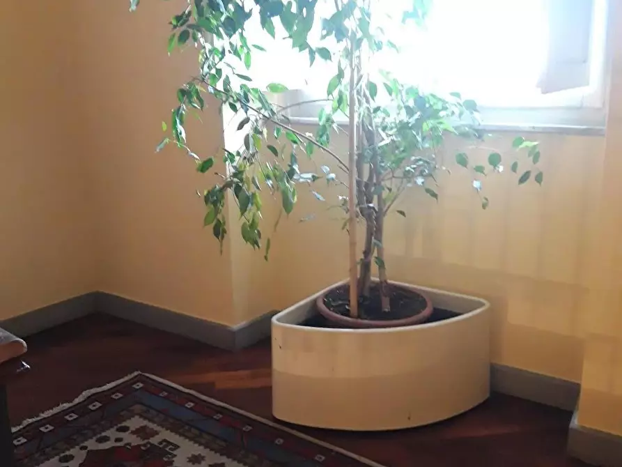 Immagine 12 di Villa in vendita  a Carrara