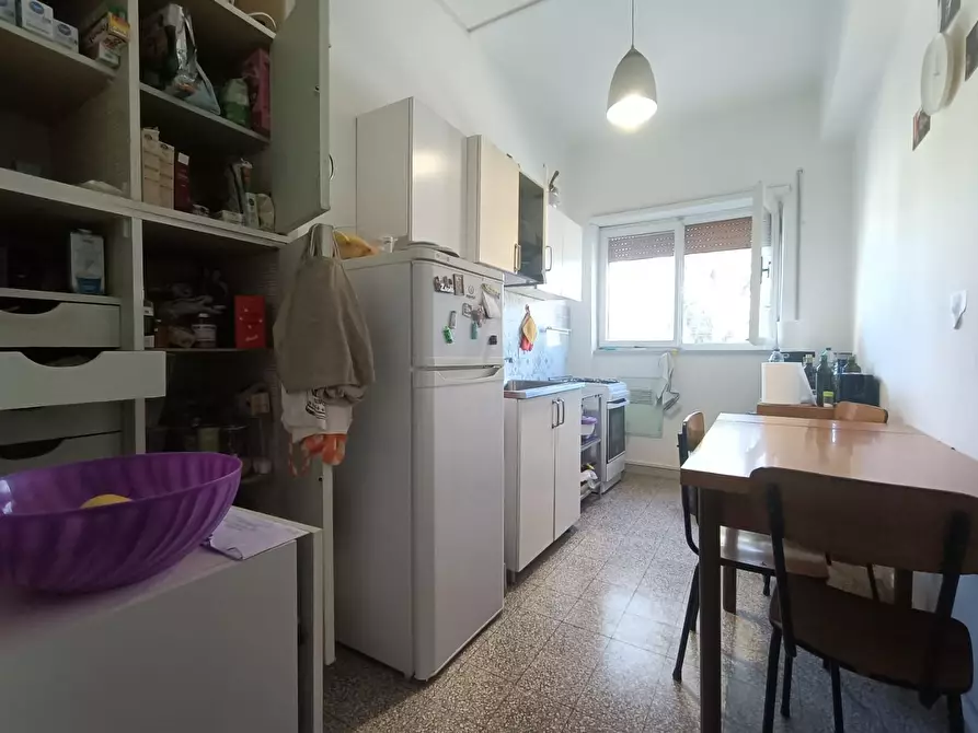 Immagine 5 di Appartamento in affitto  a Pisa