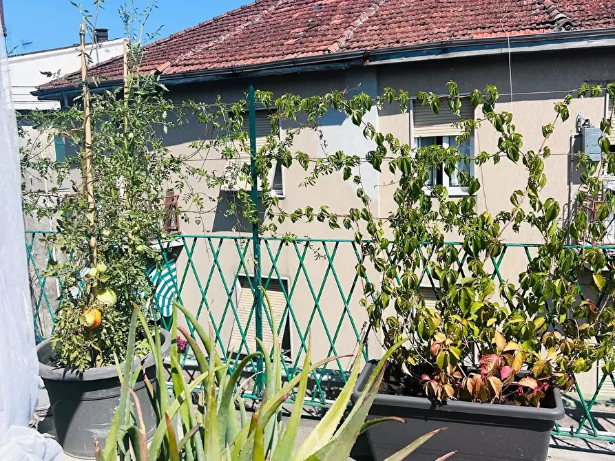 Immagine 18 di Appartamento in vendita  a Aulla