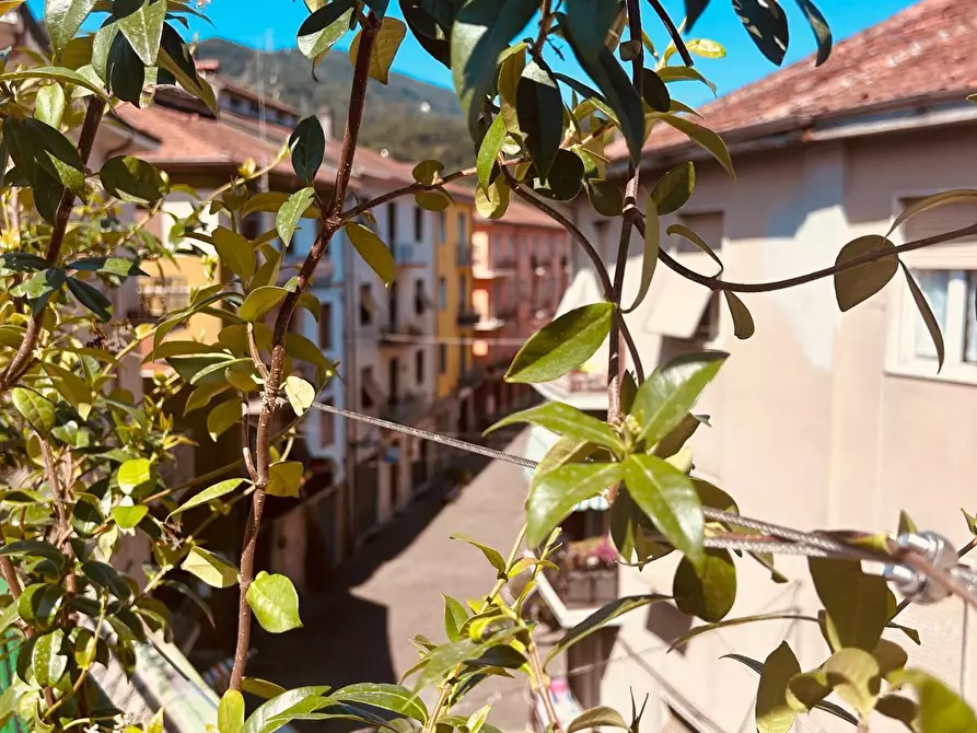 Immagine 23 di Appartamento in vendita  a Aulla