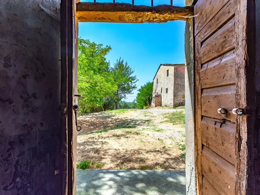 Immagine 3 di Casa colonica in vendita  a Certaldo