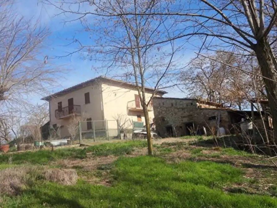 Immagine 3 di Terratetto in vendita  a Poggibonsi