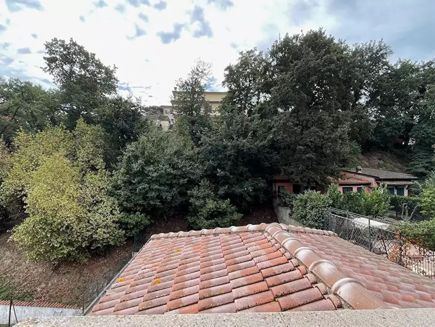 Immagine 24 di Villetta a schiera in vendita  a Fiumicino